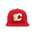 ZHATS Standard NHL Officially Licensed Adjustable Snapback Hat Flat Bill Z11 Icon Team Color, One Size