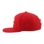 ZHATS Standard NHL Officially Licensed Adjustable Snapback Hat Flat Bill Z11 Icon Team Color, One Size