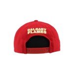 ZHATS Standard NHL Officially Licensed Adjustable Snapback Hat Flat Bill Z11 Icon Team Color, One Size