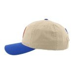 ZHATS Standard NHL Officially Licensed Adjustable Hat Scholarship Icon Stone, One Size