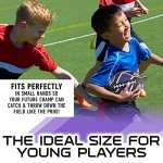 Franklin Sports NFL Baltimore Ravens Football - Youth Football - Mini 8.5" Rubber Ball - Perfect for Kids - Team Logos and Colors