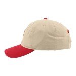 ZHATS Standard NHL Officially Licensed Adjustable Hat Scholarship Icon Stone, One Size