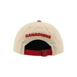 ZHATS Standard NHL Officially Licensed Adjustable Hat Scholarship Icon Stone, One Size