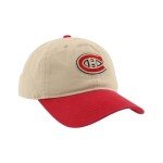 ZHATS Standard NHL Officially Licensed Adjustable Hat Scholarship Icon Stone, One Size