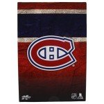 McFarlane Toys - Youppi! (Montreal Canadiens) NHL 8in Vinyl Mascot Figure McFarlane's SportsPicks