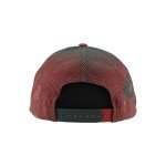 ZHATS Standard NHL Officially Licensed Adjustable Snapback Hat Big Rig Ombre, Team Color, One Size