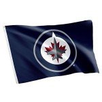 Desert Cactus Winnipeg Jets Flag NHL 100% Polyester Indoor Outdoor 3x5 feet National Hockey League Team Flags (Design #1)