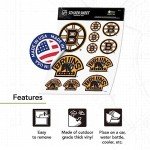 Desert Cactus Boston Bruins Sticker NHL Team National Hockey League Vinyl Decal Laptop Water Bottle Car Scrapbook Sheet (Type 1-1)