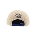 ZHATS Standard NHL Officially Licensed Adjustable Hat Scholarship Icon Stone, One Size