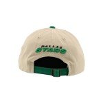 ZHATS Standard NHL Officially Licensed Adjustable Hat Scholarship Icon Stone, One Size