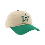 ZHATS Standard NHL Officially Licensed Adjustable Hat Scholarship Icon Stone, One Size