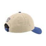 ZHATS Standard NHL Officially Licensed Adjustable Hat Scholarship Icon Stone, One Size