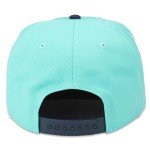 AMERICAN NEEDLE Seattle Kraken NHL Roscoe Adjustable Snapback Baseball Hat (23008A-SEK-TBNV)