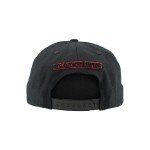 ZHATS Standard NHL Officially Licensed Adjustable Snapback Hat Flat Bill Z11 Black Element, One Size