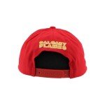 ZHATS Standard NHL Officially Licensed Hat Competitor Team Color, One Size