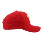 ZHATS Standard NHL Officially Licensed Hat Competitor Team Color, One Size