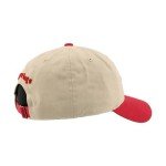 ZHATS Standard NHL Officially Licensed Adjustable Hat Scholarship Icon Stone, One Size