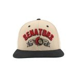 ZHATS Standard NHL Officially Licensed Adjustable Snapback Hat Milestone, Dark Stone, One Size