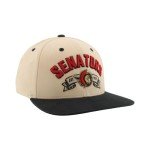 ZHATS Standard NHL Officially Licensed Adjustable Snapback Hat Milestone, Dark Stone, One Size