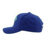 ZHATS Standard NHL Officially Licensed Hat Competitor Team Color, One Size
