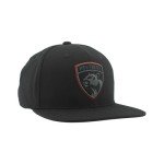 ZHATS Standard NHL Officially Licensed Adjustable Snapback Hat Flat Bill Z11 Black Element, One Size