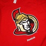 NHL Ottawa Senators Men's Jersey Crest Pullover Hoodie, Medium, Red