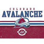 Tervis Made in USA Double Walled NHL Colorado Avalanche Insulated Tumbler Cup Keeps Drinks Cold & Hot, 24oz - Black Lid, Core