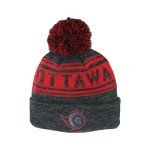 ZHATS Standard NHL Officially Licensed Beanie Pom Snag, Black, One Size