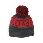 ZHATS Standard NHL Officially Licensed Beanie Pom Snag, Black, One Size