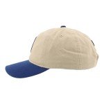 ZHATS Standard NHL Officially Licensed Adjustable Hat Scholarship Icon Stone, One Size