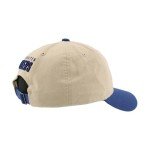 ZHATS Standard NHL Officially Licensed Adjustable Hat Scholarship Icon Stone, One Size