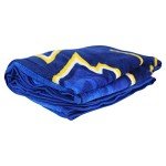 Northwest NHL St. Louis Blues Unisex-Adult Micro Raschel Throw Blanket, 46" x 60", Break Away