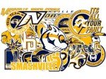 25 PCS Nashville American Predators Hockey Stickers for Water Bottle, Laptop, Bicycle, Computer, Motorcycle, Travel Case, Car Decal Decoration Stickers