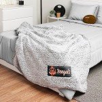 FOCO Cincinnati Bengals NFL Big Logo Cloud Sherpa Blanket