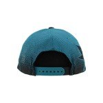 ZHATS Standard NHL Officially Licensed Adjustable Snapback Hat Big Rig Ombre, Team Color, One Size