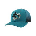 ZHATS Standard NHL Officially Licensed Adjustable Snapback Hat Big Rig Ombre, Team Color, One Size
