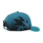 ZHATS Standard NHL Officially Licensed Adjustable Snapback Hat Big Rig Ombre, Team Color, One Size