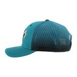 ZHATS Standard NHL Officially Licensed Adjustable Snapback Hat Big Rig Ombre, Team Color, One Size