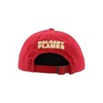 ZHATS Standard NHL Officially Licensed Adjustable Hat Scholarship Icon Team Color, One Size