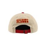 ZHATS Standard NHL Officially Licensed Adjustable Hat Scholarship Icon Stone, One Size