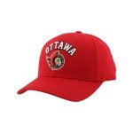 ZHATS Standard NHL Officially Licensed Hat Competitor Team Color, One Size