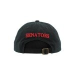 ZHATS Standard NHL Officially Licensed Adjustable Hat Scholarship Icon Black, One Size