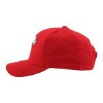 ZHATS Standard NHL Officially Licensed Hat Competitor Team Color, One Size
