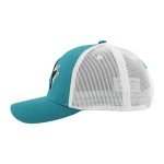 ZHATS Standard NHL Officially Licensed Adjustable Snapback Hat Big Rig Icon Team Color, One Size