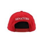 ZHATS Standard NHL Officially Licensed Hat Competitor Team Color, One Size