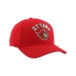 ZHATS Standard NHL Officially Licensed Hat Competitor Team Color, One Size