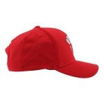 ZHATS Standard NHL Officially Licensed Hat Competitor Team Color, One Size