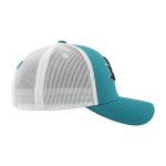 ZHATS Standard NHL Officially Licensed Adjustable Snapback Hat Big Rig Icon Team Color, One Size