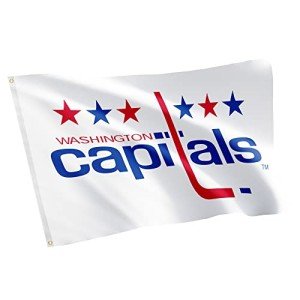Desert Cactus Washington Capitals Flag NHL 100% Polyester Indoor Outdoor 3x5 feet National Hockey League Team Flags (Vintage Flag #1)