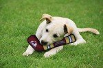 Pets First Dog Toy Tough Nylon with Inner Squeaker Licensed by NHL Colorado Avalanche Hockey Stick Toy for Dogs & Cats. Play Hockey with Your Pet with This Licensed Dog Tough Toy